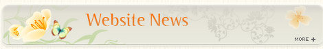 website news